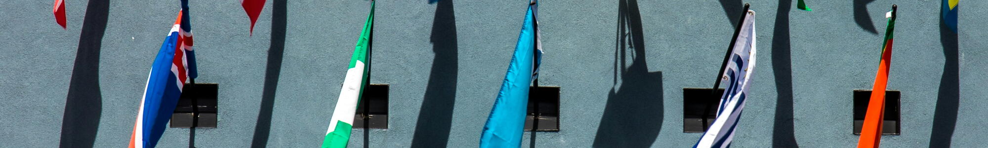 Flags