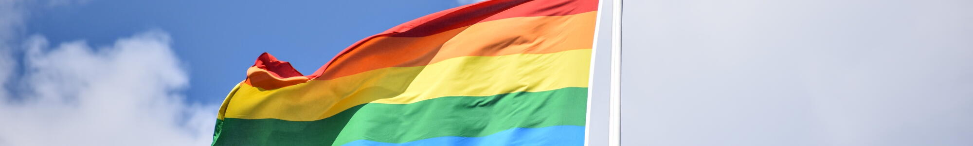 Pride flag