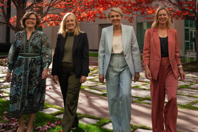 news thumbnail image